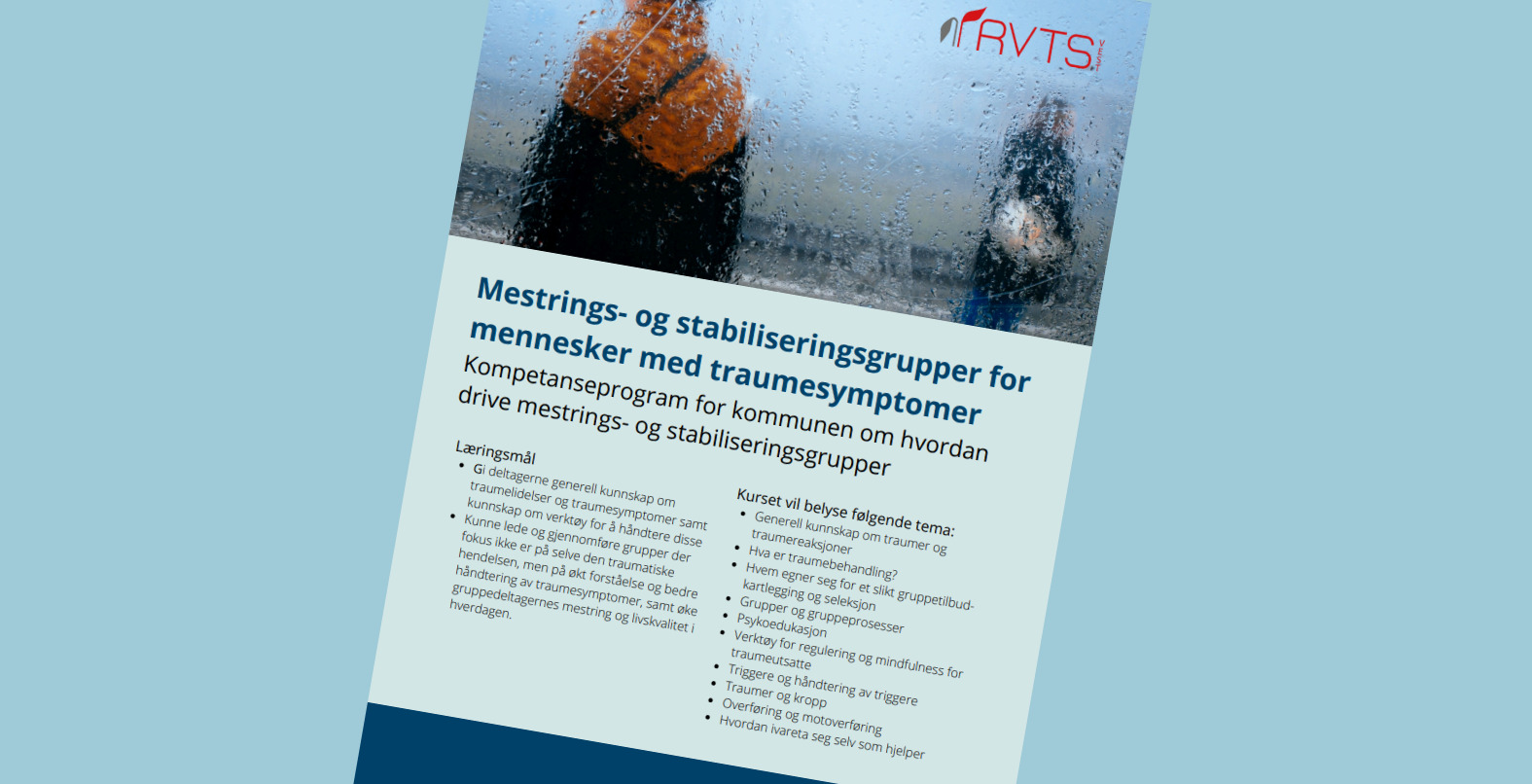 2025 Mestrings Og Stabiliseringsgrupper Ressurssenter Om Vald